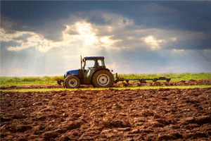 LED on farms